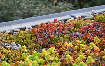 the cost of Dronley green roof installation