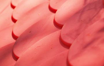 Dronley plastic roof costs